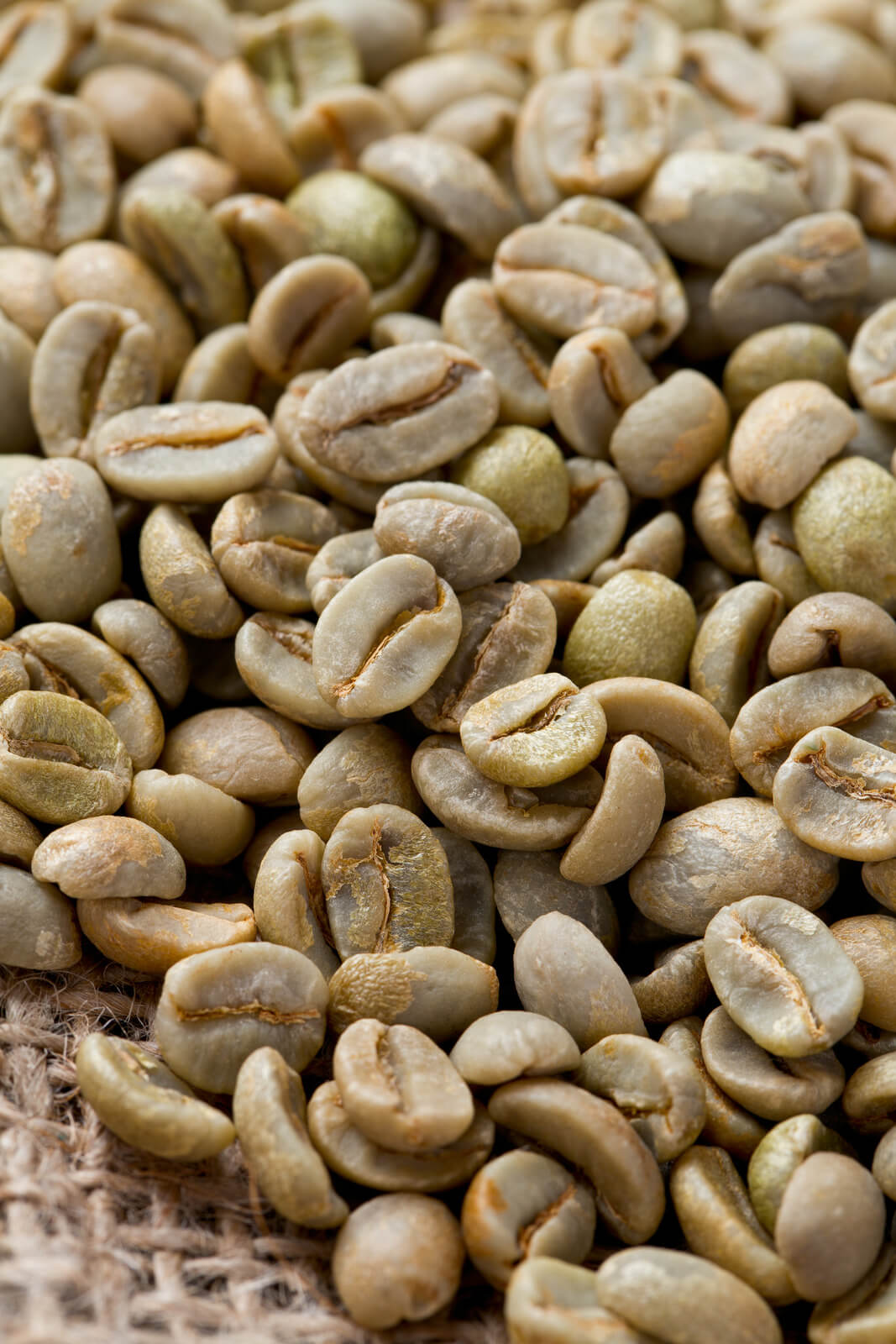 Green coffee from Brazil Santos Green coffee from Brazil Santos