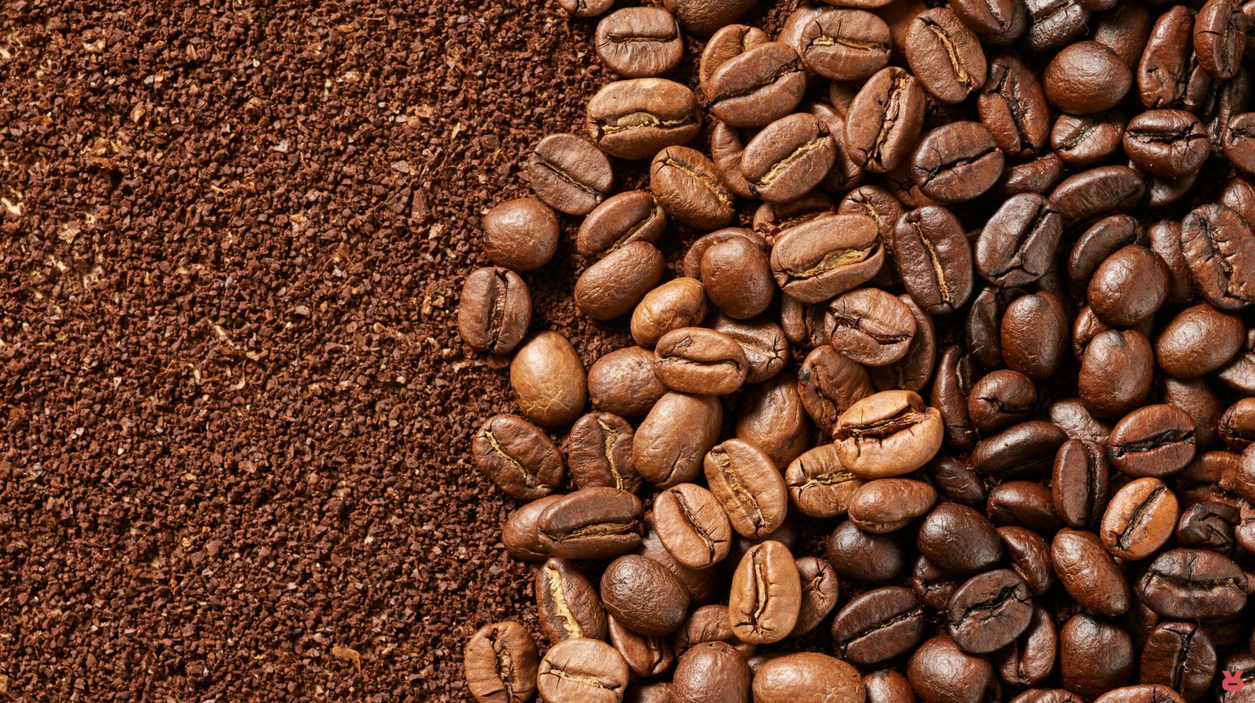 Rizopoulos Coffee Green Bean To Roast 02