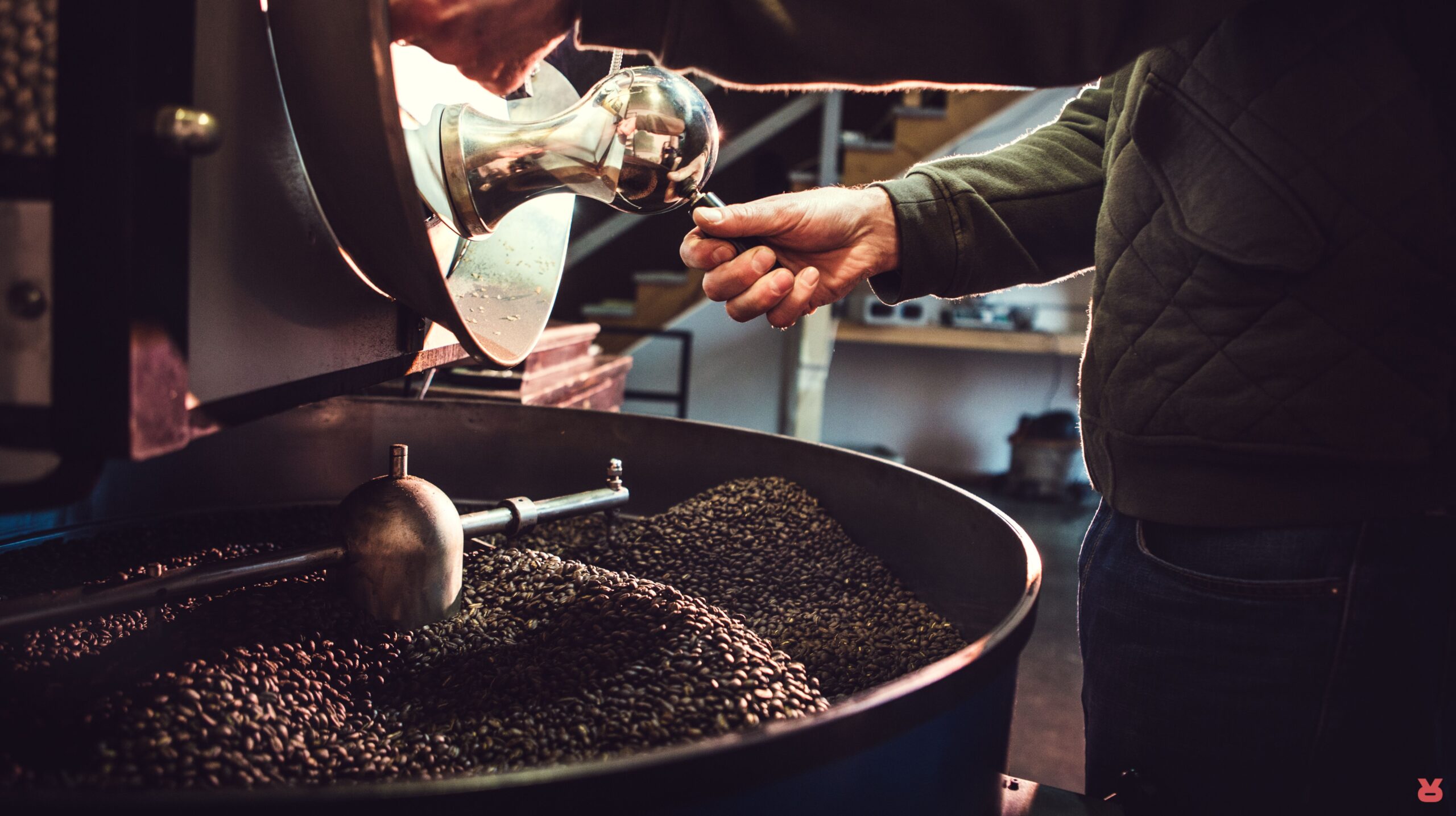 Rizopoulos Coffee Green Bean To Roast 03