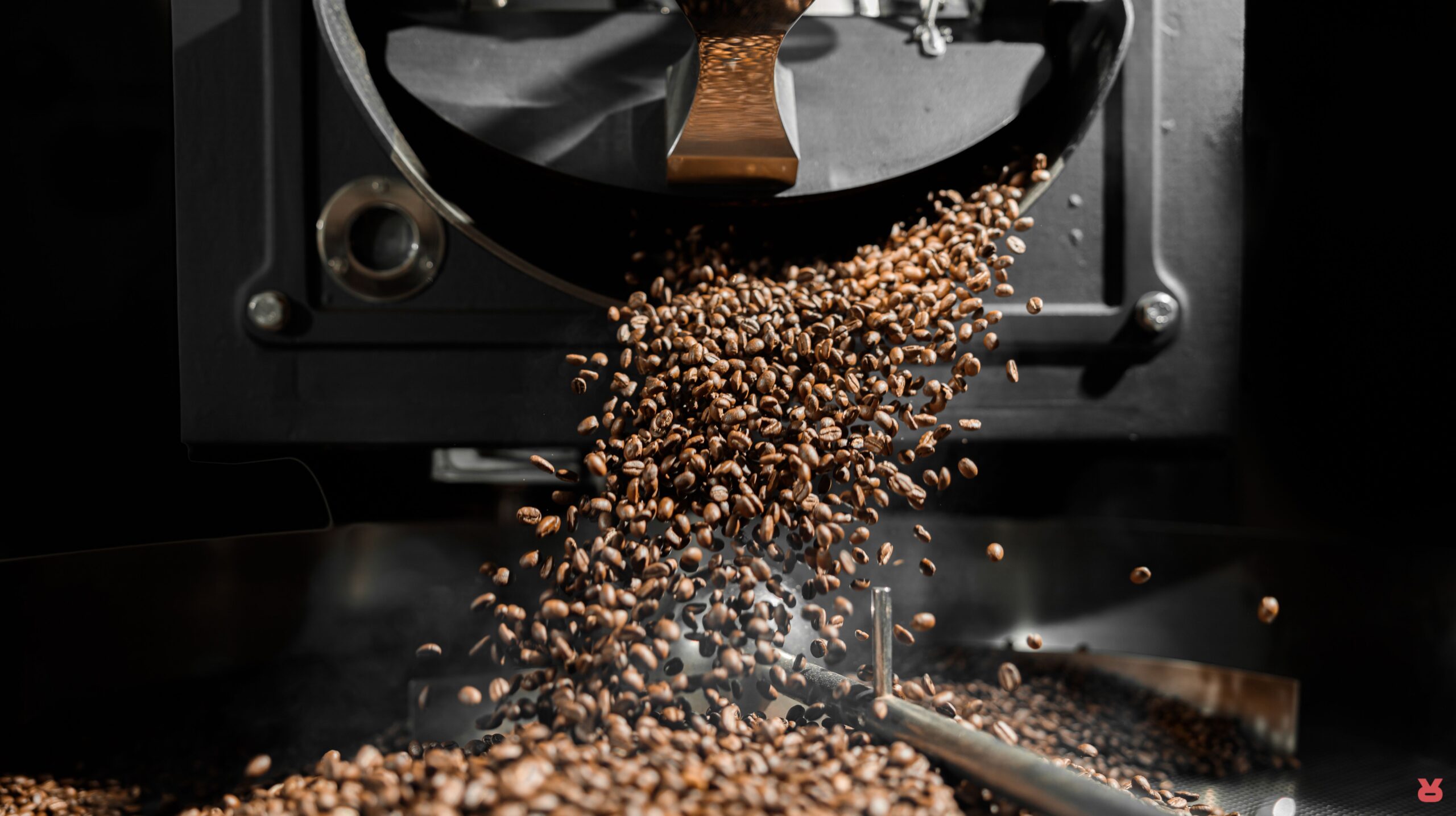 Rizopoulos Coffee Green Bean To Roast 06