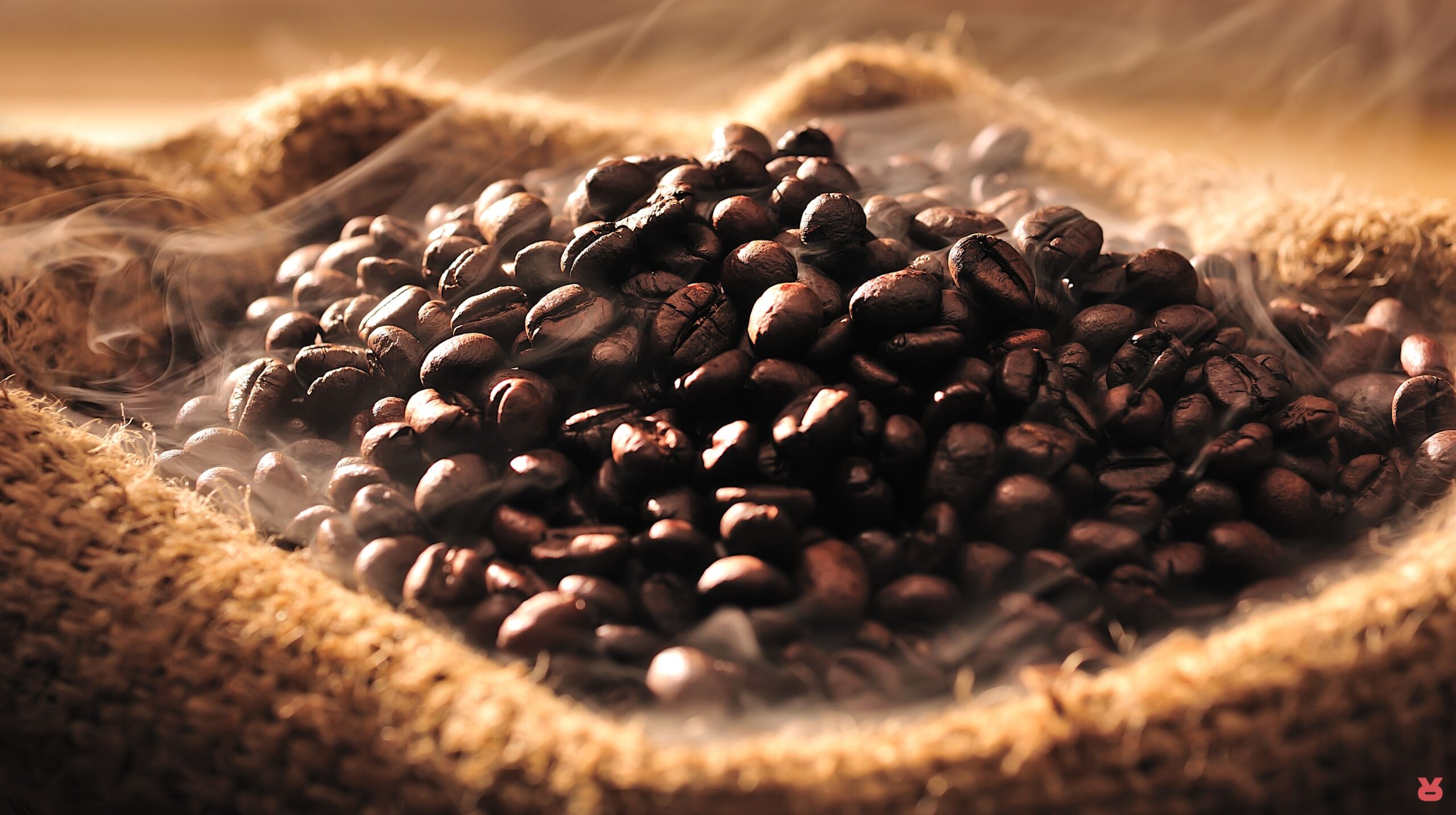 Rizopoulos Coffee Green Bean To Roast 08