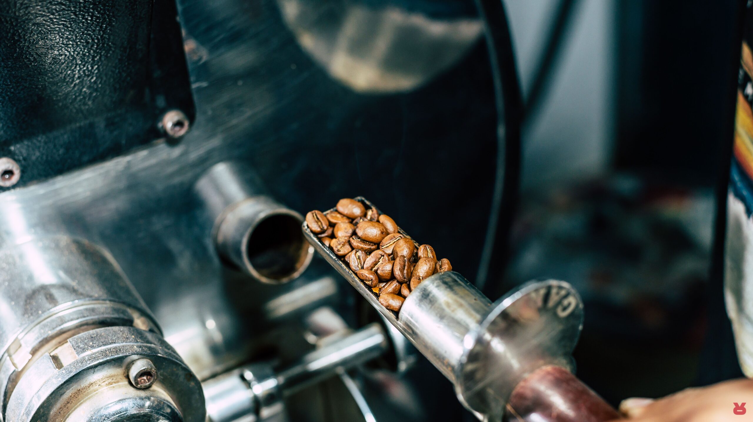 Rizopoulos Coffee Green Bean To Roast 09