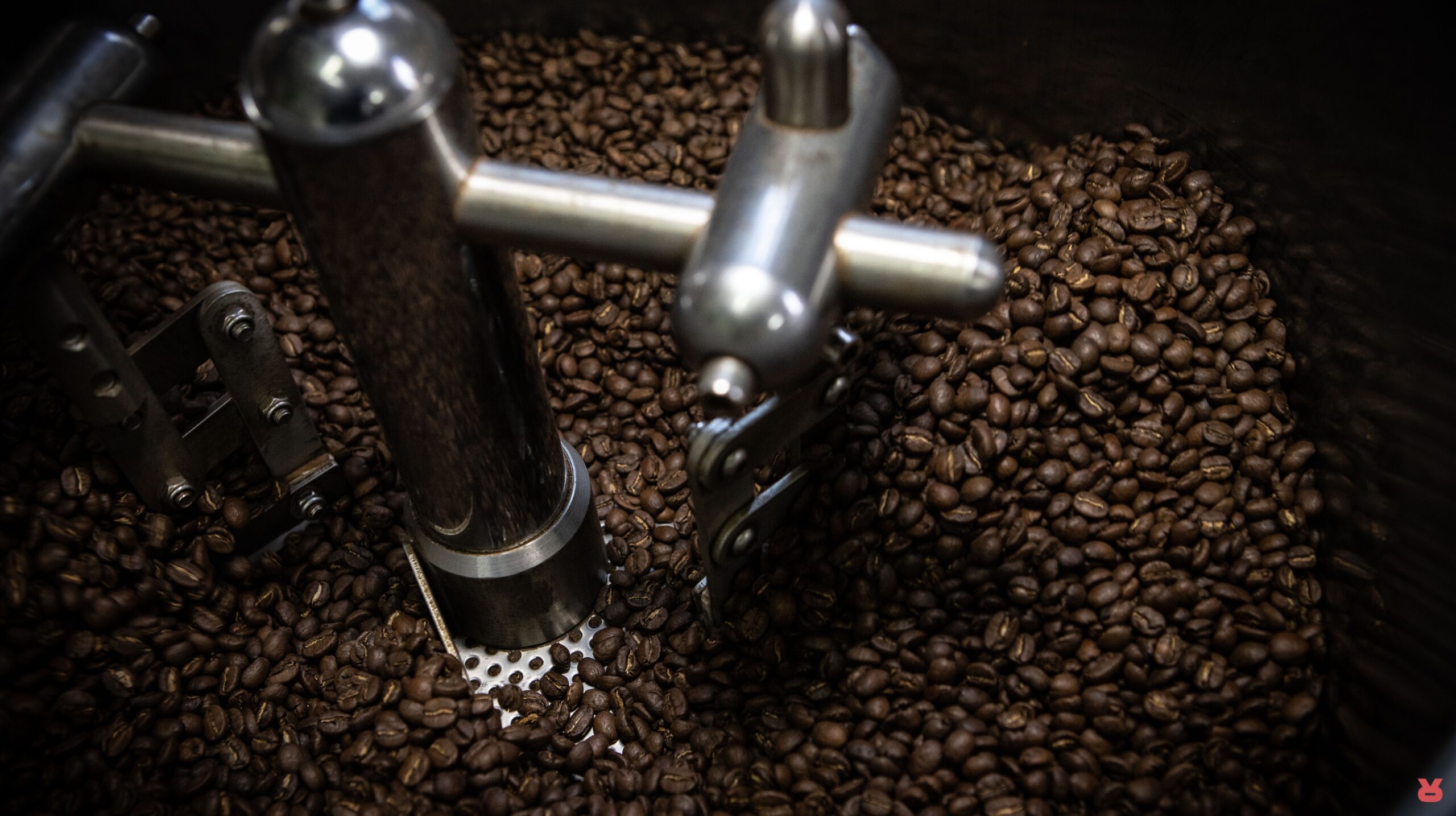 Rizopoulos Coffee Green Bean To Roast 01