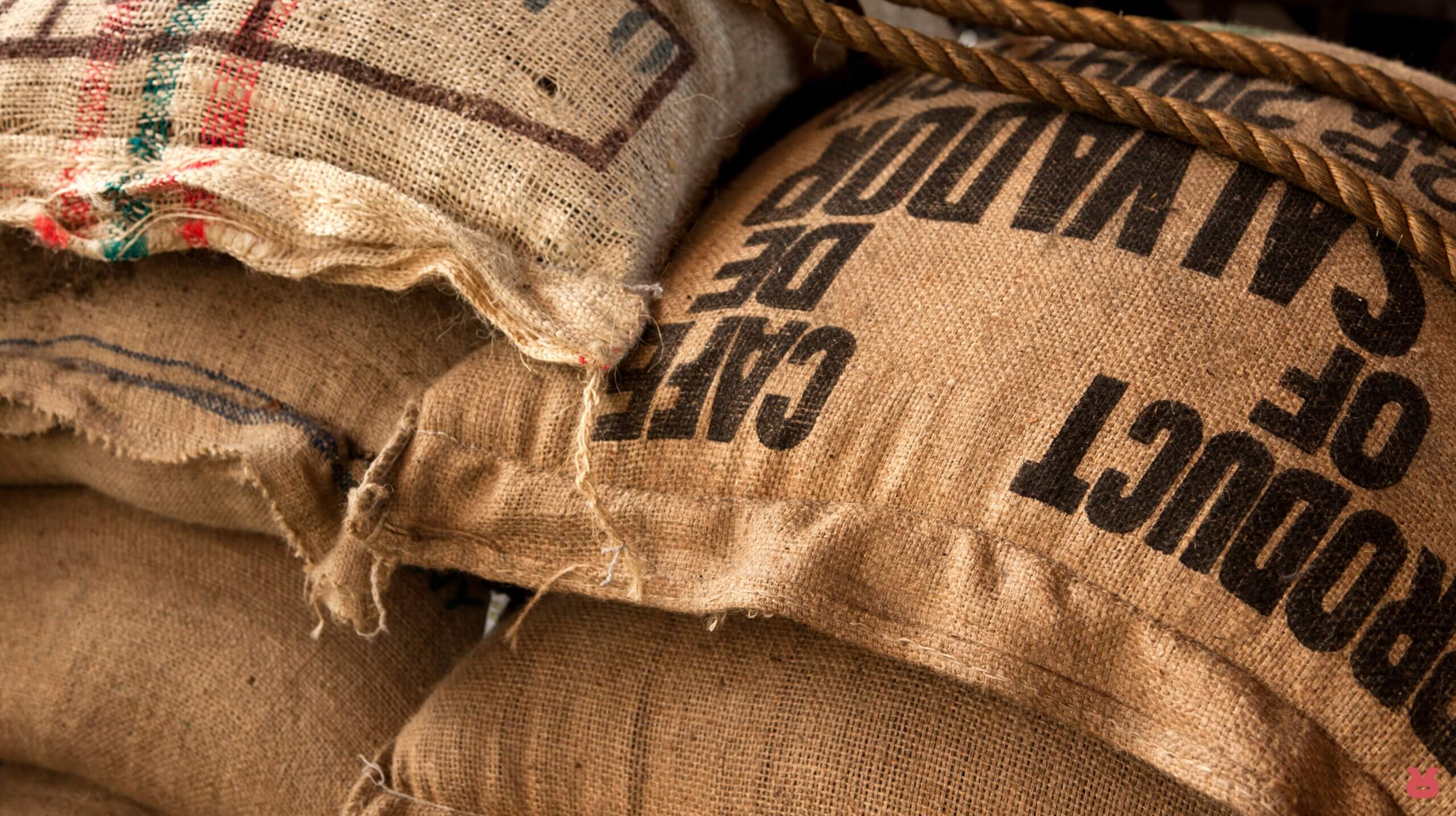 Rizopoulos Coffee Journey 07