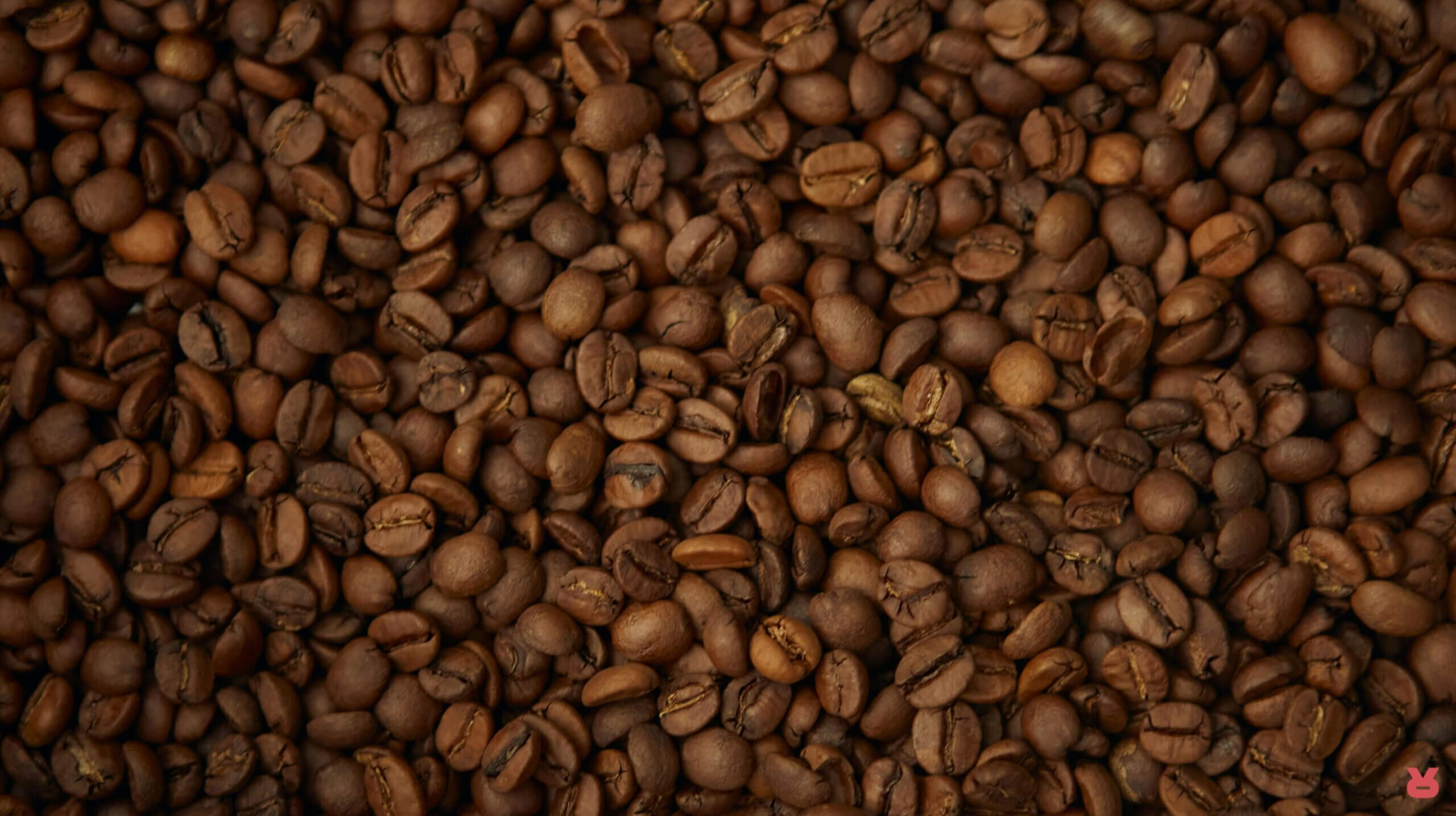 Rizopoulos Coffee Journey 10