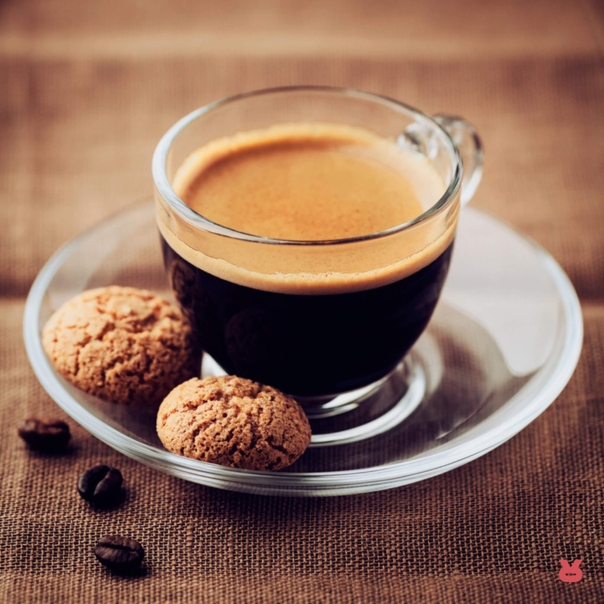 Biscuit-cinnamon espresso Biscuit-cinnamon espresso